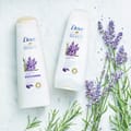 Thickening  Conditioner Lavender, 350ml