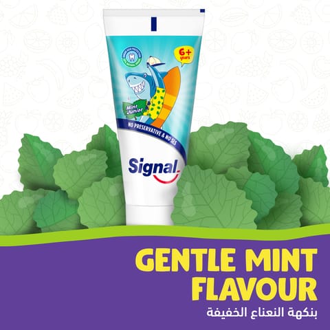 Triple Action Mouth Wash 250Ml