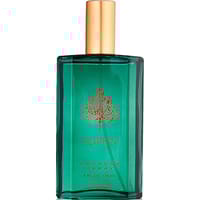 عطر اسبن بخاخ 120 مل