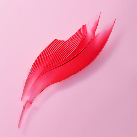 Rouge Velvet The Lipstick