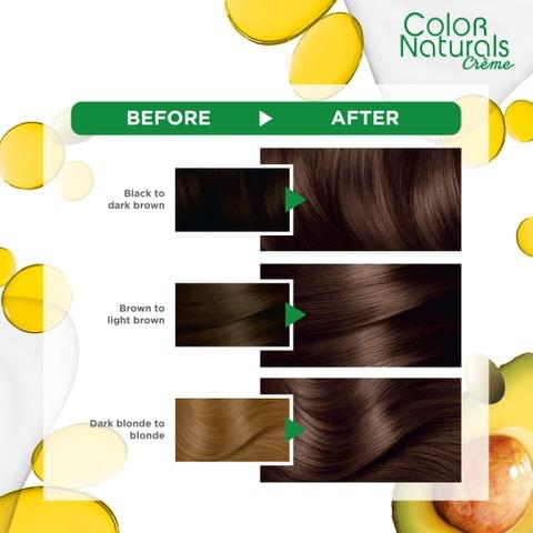 Excellence Crème Permanent Hair Color, 7.7 Honey Brown