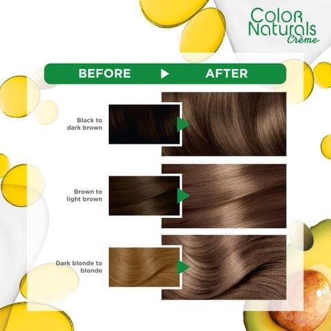 Olia, 4.0 Dark Brown, No Ammonia Permanent Haircolor, with 60% Oils