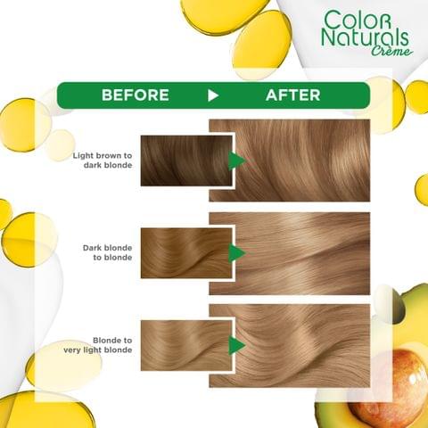 Excellence Crème Permanent Hair Color, 7.7 Honey Brown