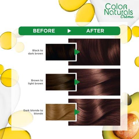 Olia, 6.15 Frozen Light Brown, No Ammonia Permanent Haircolor, with 60% Oils