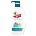 Body Wash Sea Mineral and Salt 500ml